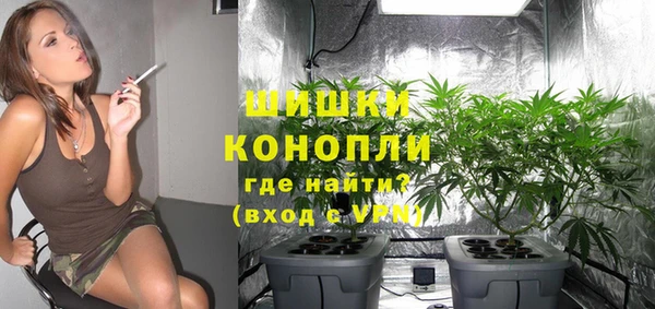 гашик Лагань