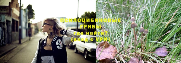 Альфа ПВП Лабытнанги