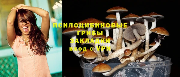 2c-b Ладушкин