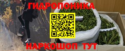 индика Коммунар