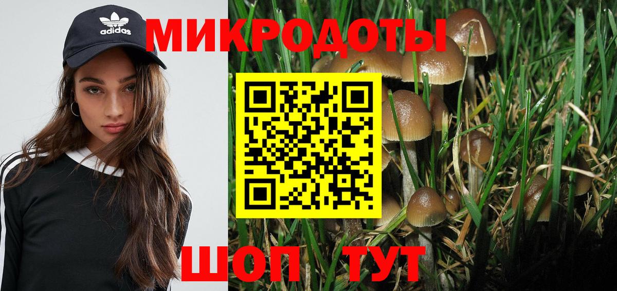 Феодосия  Псилоцибиновые грибы Psilocybe  Вход с VPN  Псилоцибиновые грибы Psilocybe 