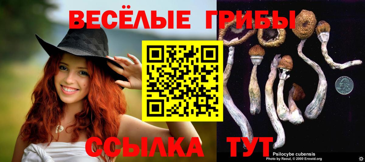 Псилоцибиновые грибы MAGIC MUSHROOMS Феодосия